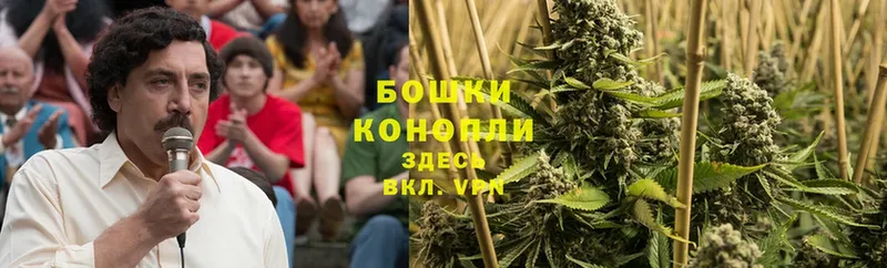 где найти наркотики  Кунгур  Конопля Ganja 